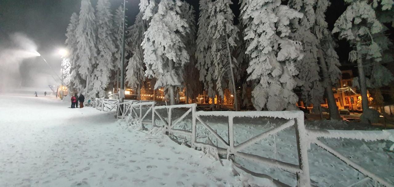 Fox Boutique Apartment Borovets Gardens Ngoại thất bức ảnh