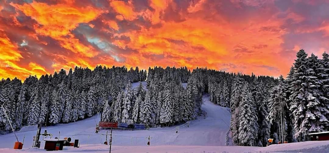 Fox Boutique Apartment Borovets Gardens Ngoại thất bức ảnh
